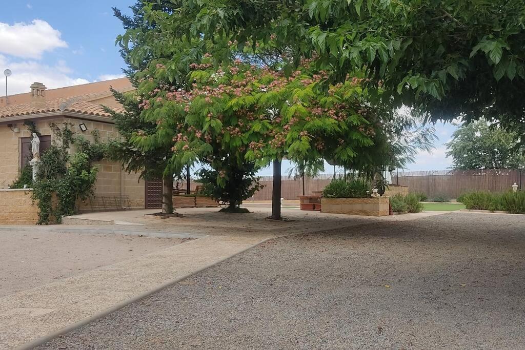Finca El Pilar Madridejos Luaran gambar