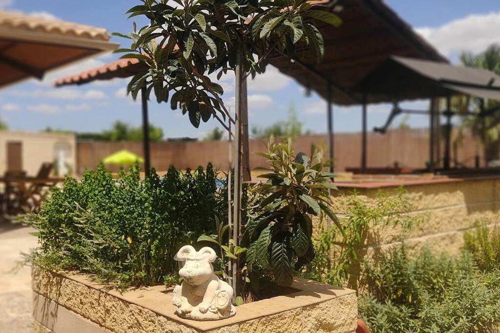 Finca El Pilar Madridejos Luaran gambar