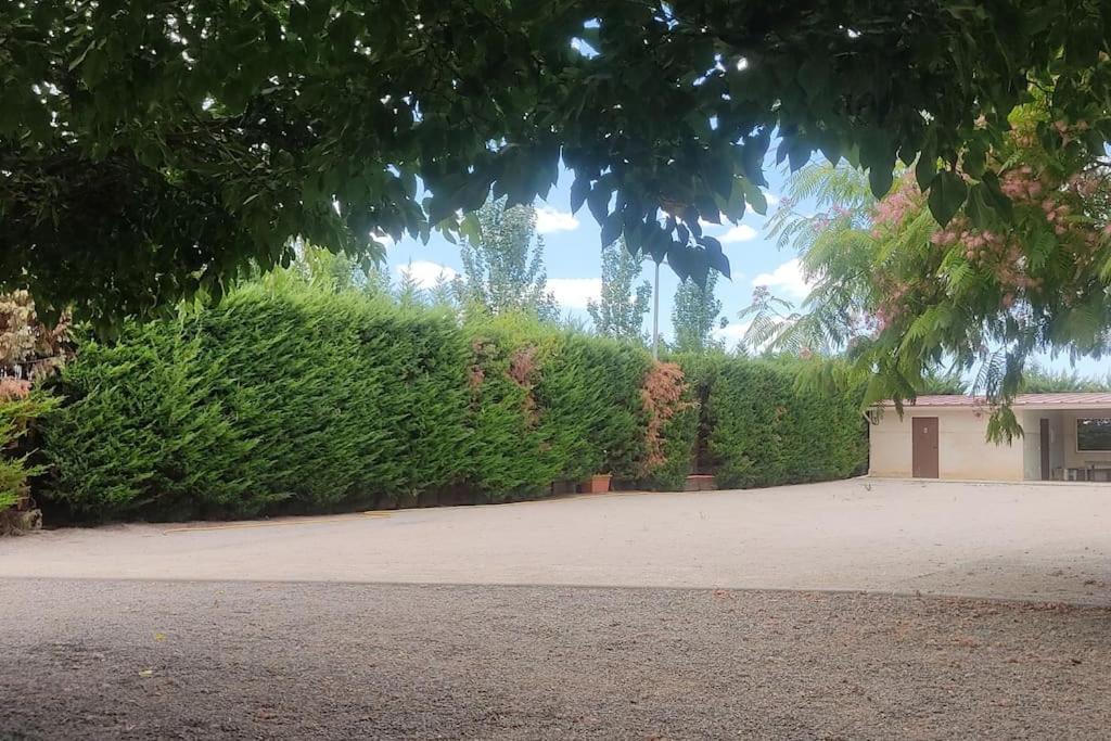 Finca El Pilar Madridejos Luaran gambar